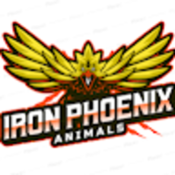 ironphoenix366